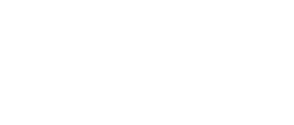 Zest Medical